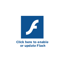 Enable or Update Adobe Flash